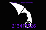Blxck Halo