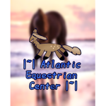 |~| Atlantic Equestrian Center |~|