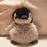 PenguinPop's Squad