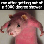 HOT CHEEEEETO RAT GROUP