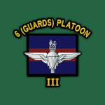 No.6 (Guards) Platoon, B Company, 3PARA
