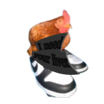 I need your chicken cult