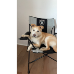Jindo Experiences