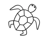 Turtles FLying