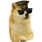 Super doge fan club