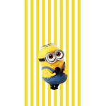 The Official Minion Squad