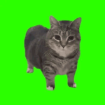 lulu mumu Group Thumbnail