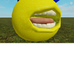 The Roblox Weird - O's