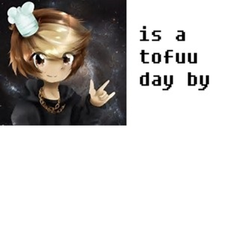 is a tofuu day ADMIN now!!!