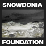 SNOWDONIA FOUNDATION FOR THE CATTLE AND UNWELL