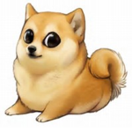 Doge Taco