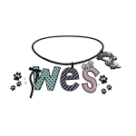 wes necklace ^_<