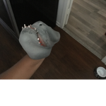 The shark pup