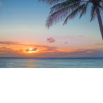 Endless adventures in hawaii