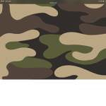 CAMOFLAUGE TEAM