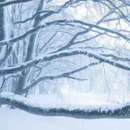 Snowsi Store