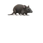JoeyKindMouseKid57 Fan Club