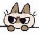 Zonic