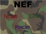 Ncags Elite Forces