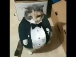 los umpa lumpas