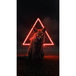 The_fearless_group