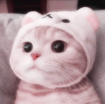 Cherry_Blossom cute