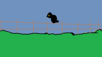 CrowLind