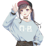 Roku Inc.