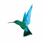 (BW) | Caribbean Airlines Group