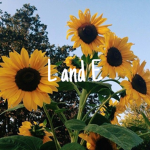 .+L and E+.