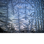 Islands frost trees