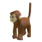 Monkey (real)