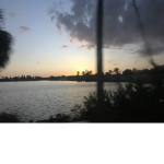sayonee