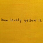 𝐬𝐨𝐧𝐠 𝐟𝐨𝐫 𝐲𝐨𝐮,