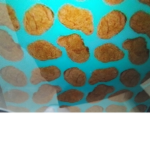 The home of the nuggets