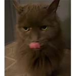 ᴘᴇᴀʀʟs_sǫᴜᴀᴅ