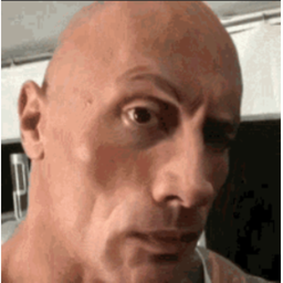(FIXED!) Survive the The Rock