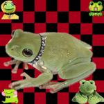~Fairy+Frog Hangout~