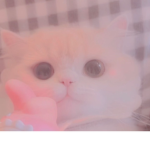 Catgirl37312