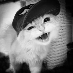 ﹒
