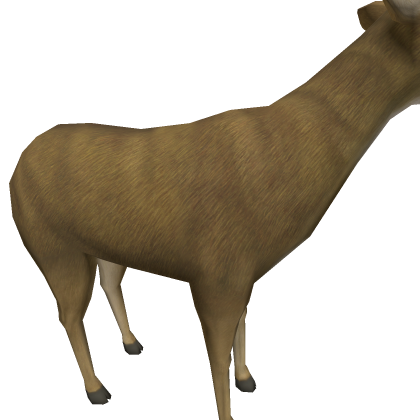 deer