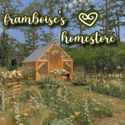 ʚhomestoreɞ
