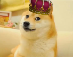 doge’s kingdom.