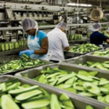 Work at a Pickle Place