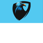 The-blue-squad