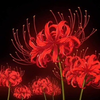 🌹🌹🌹🌹🌹🌹🌹🌹🌹🌹🌹🌹🌹🌹🌹🌹🌹🌹🌹