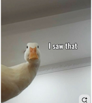 DUCKSSSSSSSSSSSSSSSSSSSSSSSSSSSSSSSS