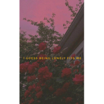 B R O K E N S O U L ‘ S