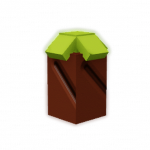 Chestnut seed image