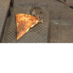 Pizza Rat Kingdom